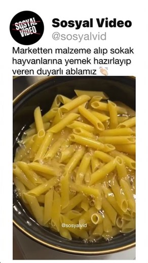 Our kind lady buys supplies from the market and prepares food for stray animals 👏🏻