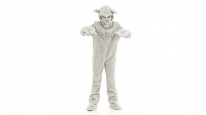 Kids Wolf Costume | Kid's Animal Costumes