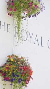 Have you visited James May's pub yet? #theroyaloak #jamesmay #whatnext #pubtour | What Next?