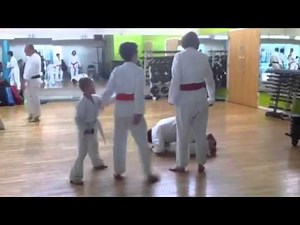 the art of karate nuts