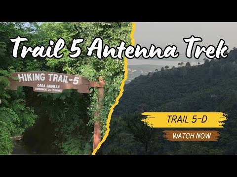 Trail 5 Antenna Trek (Complete Loop)