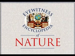 Eyewitness Encyclopedia of Nature 1.0 - All Video Clips
