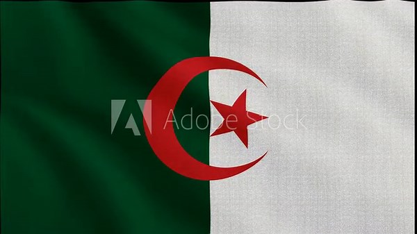 Algerian Flag Flying With Interesting Texture