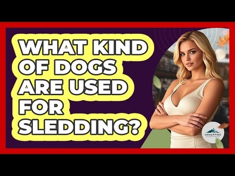 What Kind Of Dogs Are Used For Sledding?