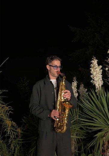 Imagine «The Power Of Love» au saxophone — reprise Céline Dion