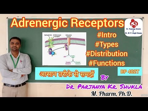 Adrenergic Receptors | Alpha and Beta Receptors | Their Distribution & Functions | BP 402T
