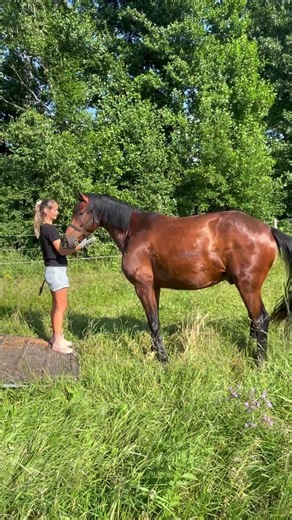 Taking My Horses Home For The Summer