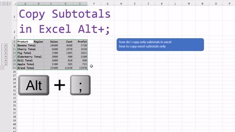 Excel — Copy Only the Subtotal Rows — Episode 2562c