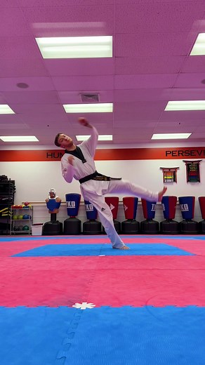 Dynamic Taekwondo Tricking Kicks & Combinations