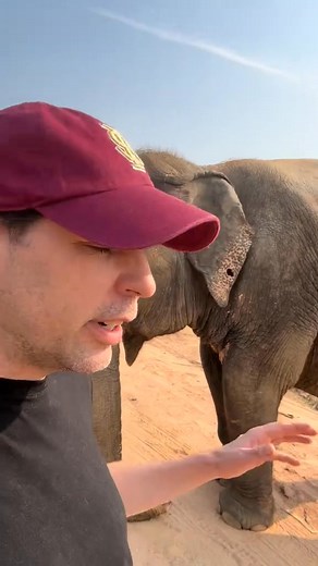 158K views · 6.5K reactions | Thong Poon does not want to go to her...