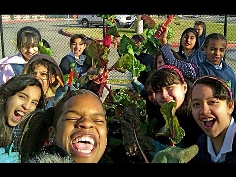 How to Start a School Garden - Help Kids Grow Healthy Food!