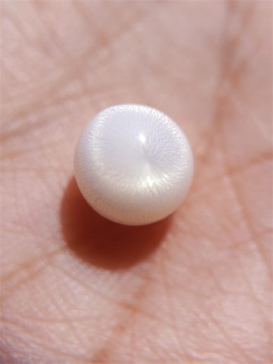 3.34 CT Tridacna White Clam Pearl Grade AA Natural Flame Pattern Top & Bottom Loose Pearl - Etsy UK