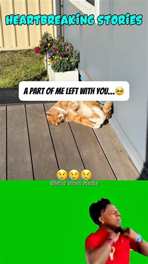 This House Still Feels Like You… Even Though You’re Gone 💔
