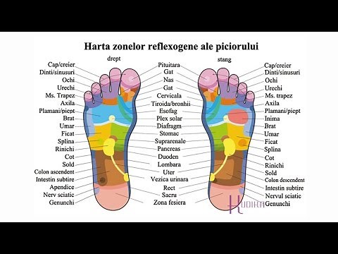 10 Puncte de presopunctura pentru dureri si alte probleme de sanatate