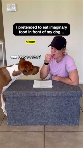 I Pretended to Eat Imaginary Food in Front of My Dog 😂