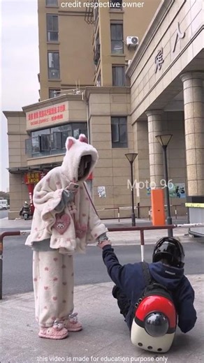 School Bag Cat Prank? 😡😨 #shorts #viral #funny #trending #love 😦🥶