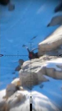 739m HEADSHOT! 🎯 .338LM vs. Caucasian Tur #hunting