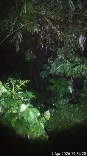 bantu subscribe ya rekan" supaya saya bisa konten live penampakan expedisi tiap makam apa saja 🙏