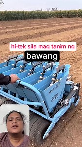 hi-tek sila mag tanim ng bawang #garlicfarming #garlicpalnting #kapannewstv this video is for commentary and educational use only. | Kapa News Tv