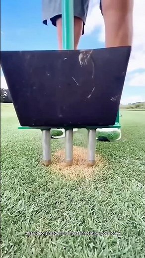 Reviving Dry Grass Instantly 🌱😱 | Lawn Transformation #shorts