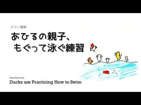 Ducks are Practicing How to Swim | Piano Duet