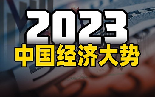 如何看懂中国经济大势？【清华大学靳卫萍】