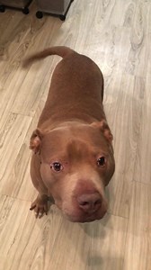 8.2K views · 1.1K reactions | To make Christian an Instagram account...