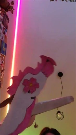 come along down with me