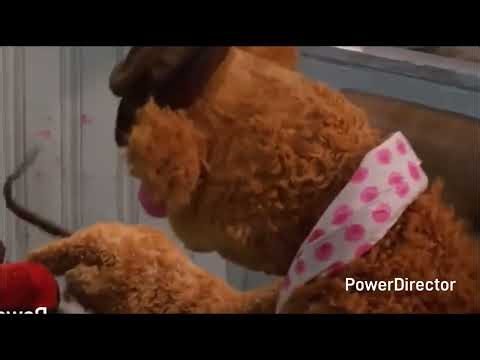 Muppets Pageant Sponsors C, N, 16