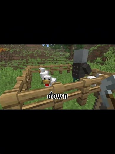 Different nametag effects in minecraft