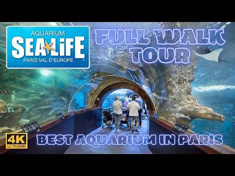[4K] Sea Life Paris aquarium relaxing full walk tour Marne-la-Vallée centre commercial Val D'Europe