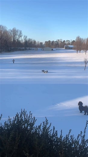 Inappropriate use of USPS boxes by Blue Ridge Mama | Commonwealth Picker