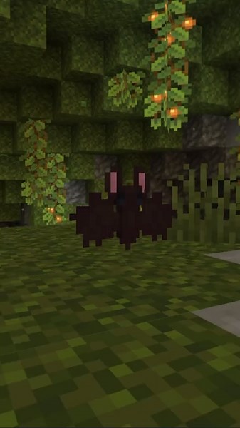 Retexturing the Minecraft Bat with Blockbench