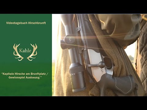 Kapitale Hirsche am Brunftplatz / Gewinnspiel Auslosung - Polen / Masuren / Pommern