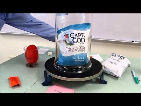 Vacuum Chamber: Air pressure demonstration