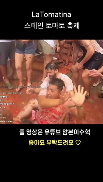 #토마토축제 #스페인토마토축제 #latomatina #스페인 #발렌시아 #부뇰 #암본이수혁 #웃긴짤 #웃긴영상 #웃긴동영상
