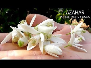 AZAHAR, PROPIEDADES Y USOS