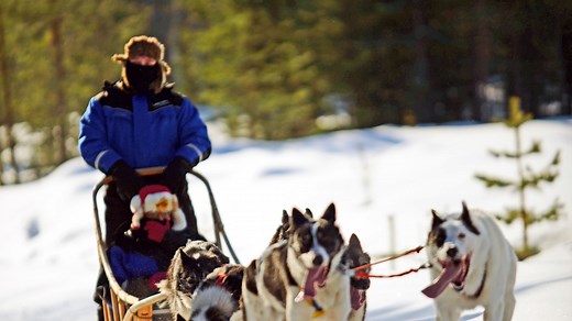 TUI launches 'extreme day trips' to Lapland from 11 UK airports
