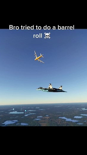 Plane Barrel Roll Techniques in MSFS 2020