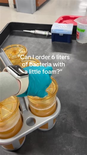 Maddy | PhD Chemistry Candidate 👩‍🔬 on Instagram: "I purified my protein! Protein purification weeks involve long days full of lab work with lots of moving parts. Here I’m showing one of the first steps. I grew up 6L of bacteria expressing my protein. Then I spun down my 6L of culture to collect the big pellets for more processing in later steps. The hard work was worth it! Now on to characterize my novel protein mutant with biochemical assays. #phd #womeninstem #lab #reseach #science"