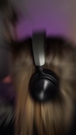 Aprendiendo paciencia y buen rollo con Rivers y su control