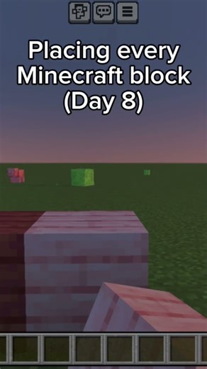 Placing every Minecraft block (Day 8)