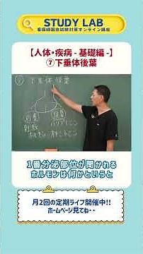 「下垂体後葉」人体・疾病【基礎編】 看護師国家試験対策オンライン講座｜STUDY LAB#看護学生 #看護師国家試験 #看護師