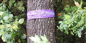 Fact Finders: Do no trespassing signs carry any weight in Missouri?