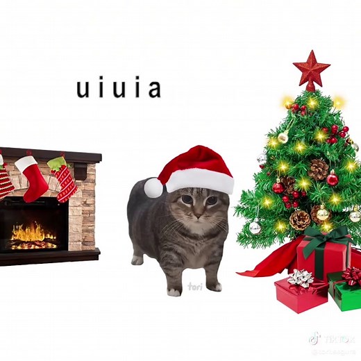 Feliz Navidad con Ethel, el gato OIIA ✨🎄