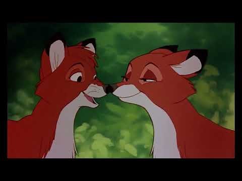 The Fox and the Hound (1981) Tod's new life