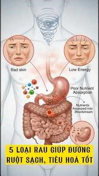 5 Loại rau giúp ĐƯỜNG RUỘT SẠCH, TIÊU HOÁ tốt #duongruotkhoe #tieuhotot