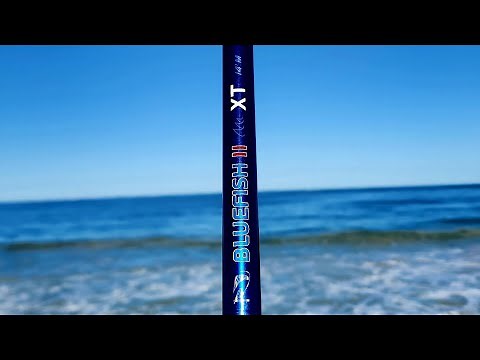 Assassin Bluefish XT (First Impression)