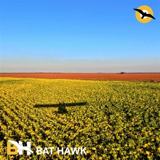 15 reactions | In the vast expanse of the Springbok Flats, the Bat Hawk soars with unmatched grace, capturing a landscape where beauty meets endless horizons. “Once you have tasted flight, you will forever walk the earth with your eyes turned skyward.” – Leonardo da Vinci  Video Credit: Jorrie https://bathawk.co.za/ #BatHawkAircraft #LightSportAircraft #AerialPhotography #AdventureFlying #SouthAfricanAviation #BushFlying #ExploreAfrica | Bat Hawk | Facebook