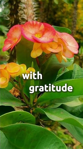 RESTORE MY ENERGY #walkinspiritoftheholyspirit #changeyourmindsetchangeyourlife #motivation #love